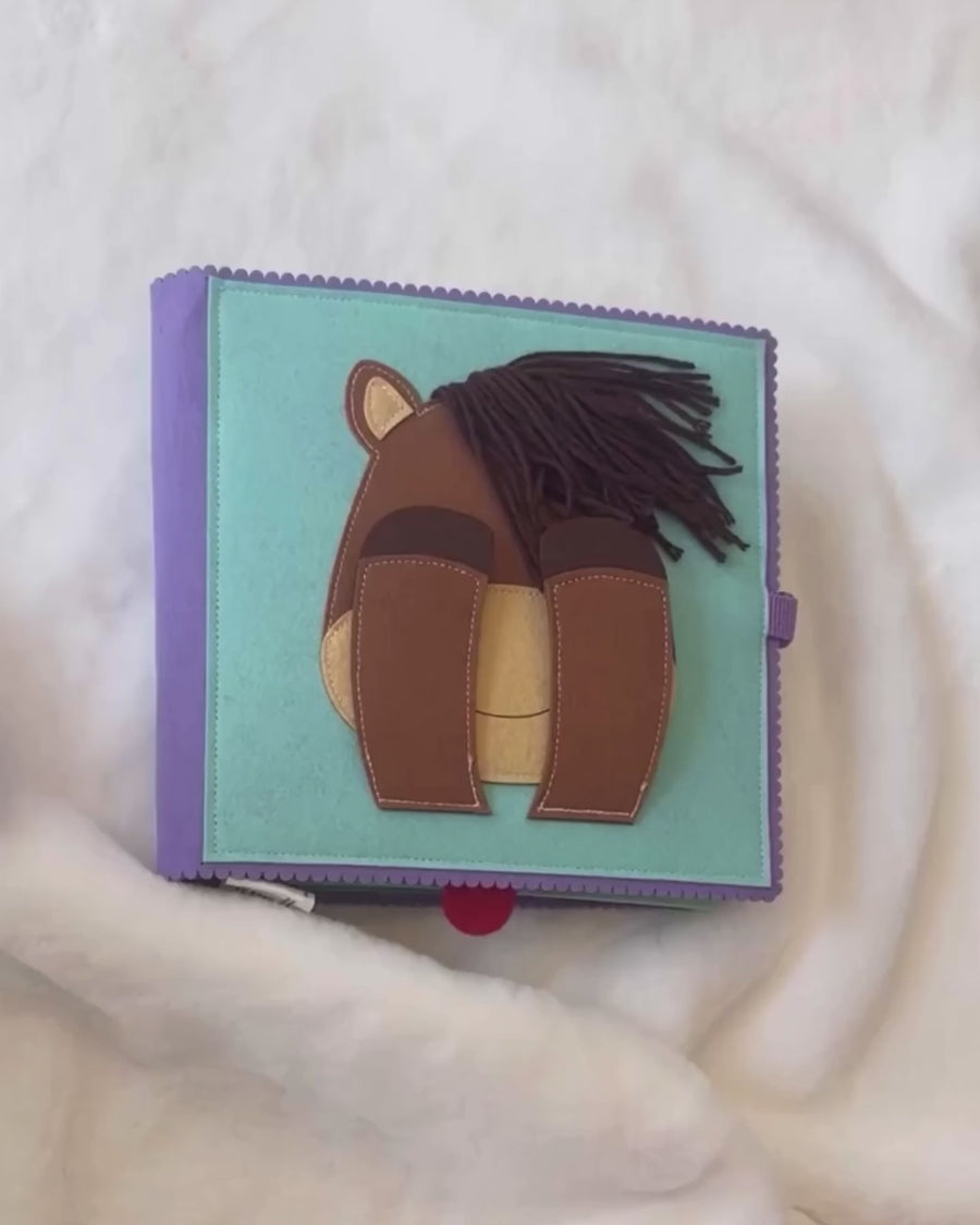 Handsome Horse Baby Book